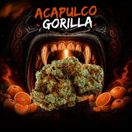 ACAPULCO GORILLA CBC