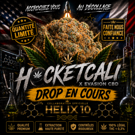 DROP TROPICAL DREAM HELIX